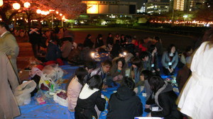 0645-hanami.jpg