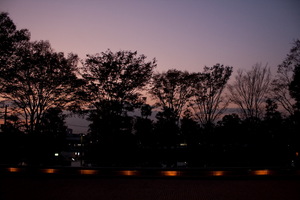 091127-sunset.jpg