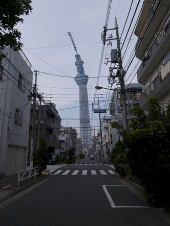 110818-skytree.jpg