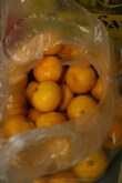 071113-mikan.jpg