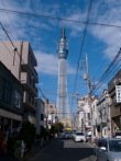 101116-skytree.jpg