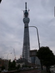 110510-skytree.jpg